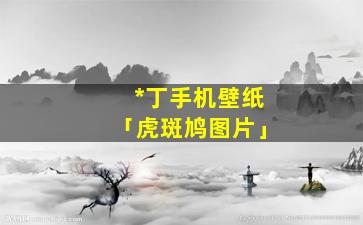 *丁手机壁纸「虎斑鸠图片」