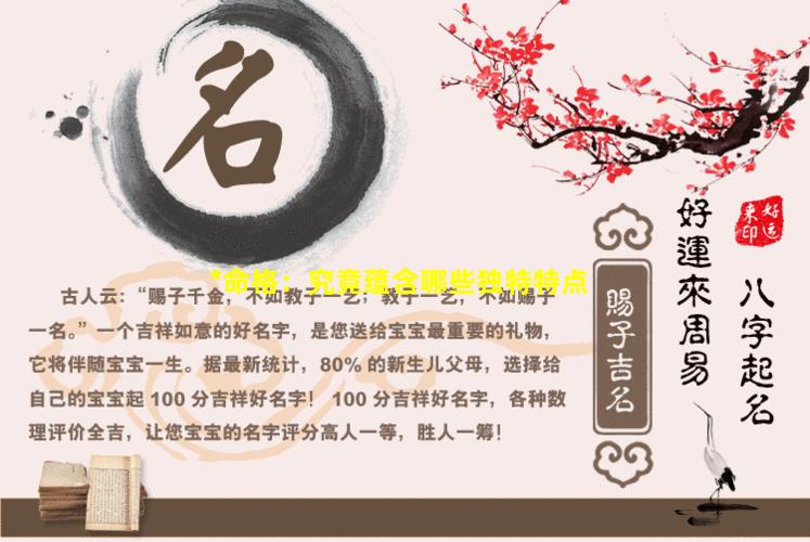 *命格：究竟蕴含哪些独特特点