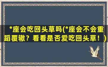 *座会吃回头草吗(*座会不会重蹈覆辙？看看是否爱吃回头草！)