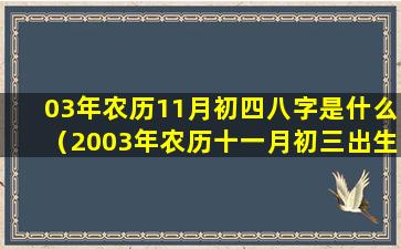 03年农历11月初四八字是什么（2003年农历十一月初三出生人的命运）