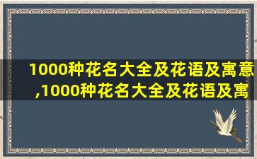 1000种花名大全及花语及寓意,1000种花名大全及花语及寓意图片