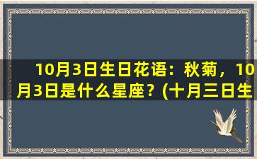 10月3日生日花语：秋菊，10月3日是什么星座？(十月三日生日花）