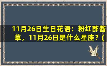 11月26日生日花语：粉红酢酱草，11月26日是什么星座？(11月26日的生日花是什么花）