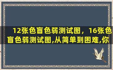 12张色盲色弱测试图，16张色盲色弱测试图,从简单到困难,你能做到第几张图