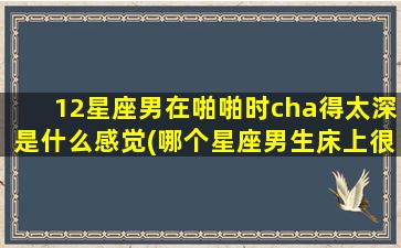 12星座男在啪啪时cha得太深是什么感觉(哪个星座男生床上很可怕）