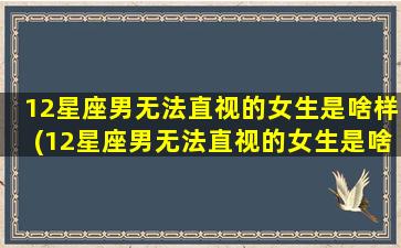 12星座男无法直视的女生是啥样(12星座男无法直视的女生是啥样子）