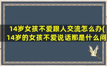 14岁女孩不爱跟人交流怎么办(14岁的女孩不爱说话那是什么问题)