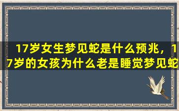 17岁女生梦见蛇是什么预兆，17岁的女孩为什么老是睡觉梦见蛇