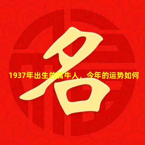 1937年出生的属牛人，今年的运势如何