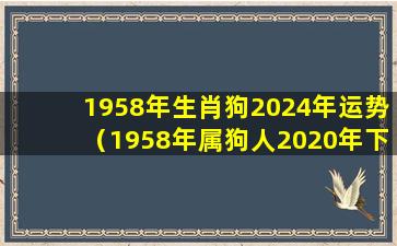 1958年生肖狗2024年运势（1958年属狗人2020年下半年运势）