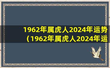 1962年属虎人2024年运势（1962年属虎人2024年运势每月运势）