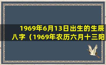 1969年6月13日出生的生辰八字（1969年农历六月十三阳历是几月几号）