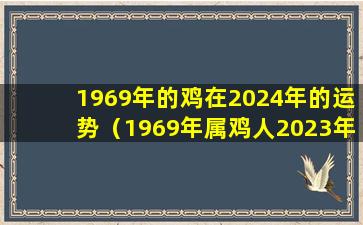 1969年的鸡在2024年的运势（1969年属鸡人2023年运势运程每月运程）