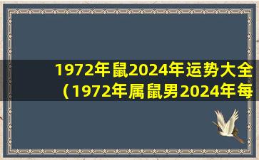 1972年鼠2024年运势大全（1972年属鼠男2024年每月运势及运程）