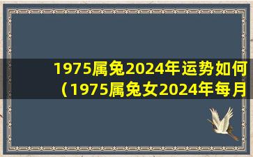 1975属兔2024年运势如何（1975属兔女2024年每月运势及运程）