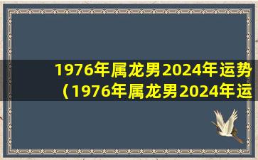 1976年属龙男2024年运势（1976年属龙男2024年运势及运程详解）