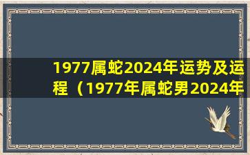 1977属蛇2024年运势及运程（1977年属蛇男2024年的运势和婚姻）