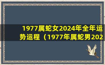 1977属蛇女2024年全年运势运程（1977年属蛇男2024年的运势和婚姻）