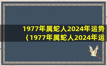 1977年属蛇人2024年运势（1977年属蛇人2024年运势运程每月运程详解）