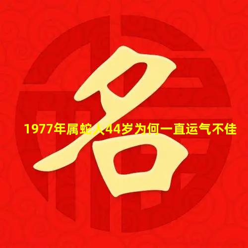 1977年属蛇人44岁为何一直运气不佳