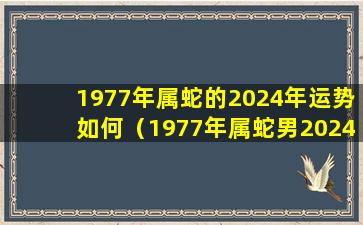 1977年属蛇的2024年运势如何（1977年属蛇男2024年的运势和婚姻）