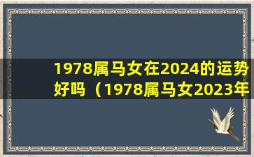 1978属马女在2024的运势好吗（1978属马女2023年运势及运程每月运程）