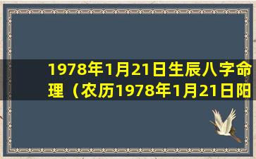 1978年1月21日生辰八字命理（农历1978年1月21日阳历生日是多少）