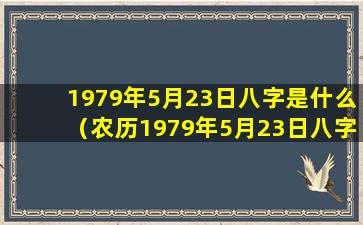 1979年5月23日八字是什么（农历1979年5月23日八字是什么）