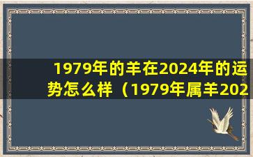 1979年的羊在2024年的运势怎么样（1979年属羊2024年运势完整版）