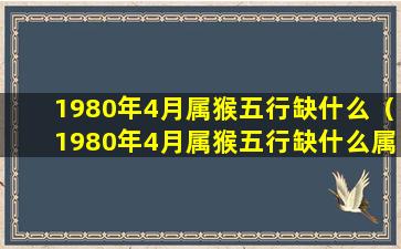 1980年4月属猴五行缺什么（1980年4月属猴五行缺什么属性）