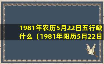 1981年农历5月22日五行缺什么（1981年阳历5月22日是什么星座）