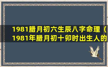 1981腊月初六生辰八字命理（1981年腊月初十卯时出生人的命运）