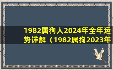 1982属狗人2024年全年运势详解（1982属狗2023年运势及运程每月运程）