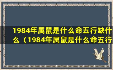 1984年属鼠是什么命五行缺什么（1984年属鼠是什么命五行缺什么属性）