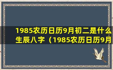 1985农历日历9月初二是什么生辰八字（1985农历日历9月初二是什么生辰八字呢）