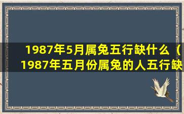 1987年5月属兔五行缺什么（1987年五月份属兔的人五行缺什么）