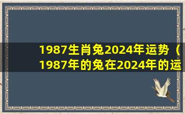 1987生肖兔2024年运势（1987年的兔在2024年的运势怎么样）