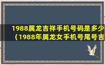 1988属龙吉祥手机号码是多少（1988年属龙女手机号尾号吉利数字）