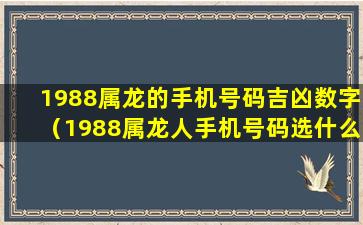 1988属龙的手机号码吉凶数字（1988属龙人手机号码选什么数字）