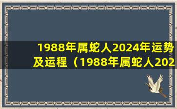 1988年属蛇人2024年运势及运程（1988年属蛇人2024年运势运程身体）