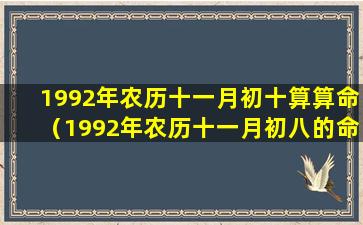 1992年农历十一月初十算算命（1992年农历十一月初八的命运如何）