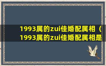 1993属的zui佳婚配属相（1993属的zui佳婚配属相是什么）