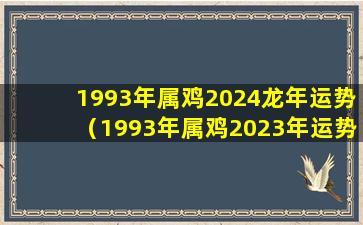 1993年属鸡2024龙年运势（1993年属鸡2023年运势及运程每月运程）