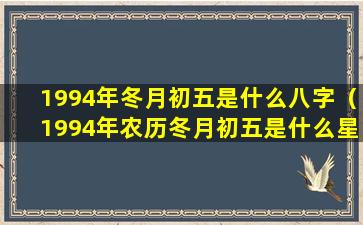 1994年冬月初五是什么八字（1994年农历冬月初五是什么星座）