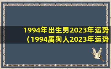 1994年出生男2023年运势（1994属狗人2023年运势及运程）