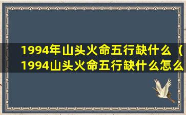 1994年山头火命五行缺什么（1994山头火命五行缺什么怎么看命运）