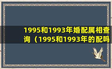 1995和1993年婚配属相查询（1995和1993年的配吗）