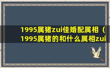 1995属猪zui佳婚配属相（1995属猪的和什么属相zui配）