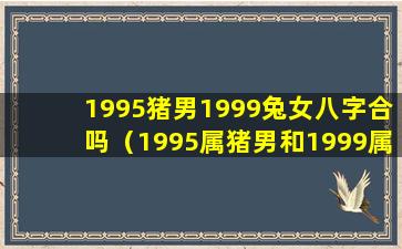 1995猪男1999兔女八字合吗（1995属猪男和1999属兔女处对象能成吗）