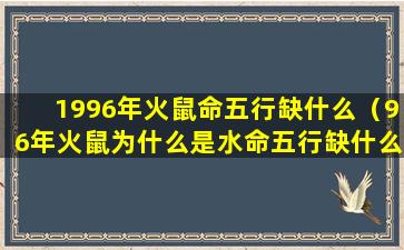 1996年火鼠命五行缺什么（96年火鼠为什么是水命五行缺什么）